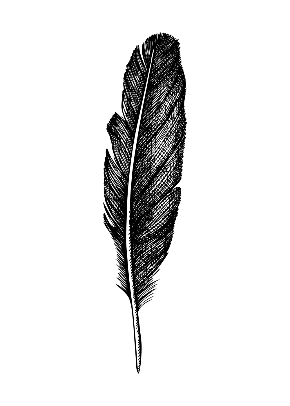 Hand drawn boho design element in graphic style. Crow feather sketch isolated on white. Vector magic illustration for witchcraft, alchemy, Halloween decor.  Illustration