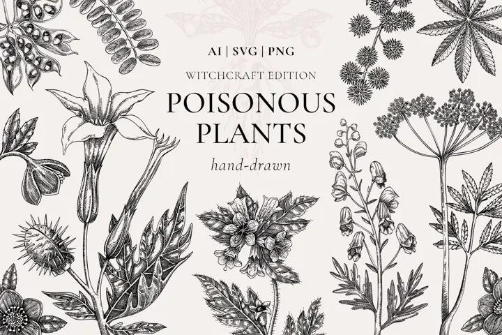Poisonous Plants & Witch Herbs. Hand Drawn Vector illustrations