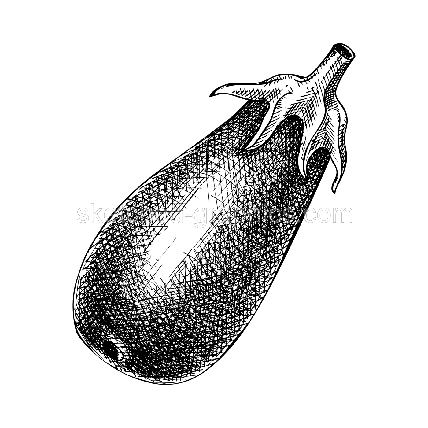 Fresh Eggplant sketch. Hand-sketched Vegetable illustration. Healthy food plant. Vector drawing of raw cultivated aubergine. Perfect for grocery, markets, packaging, recipes, menus design. Illustration
