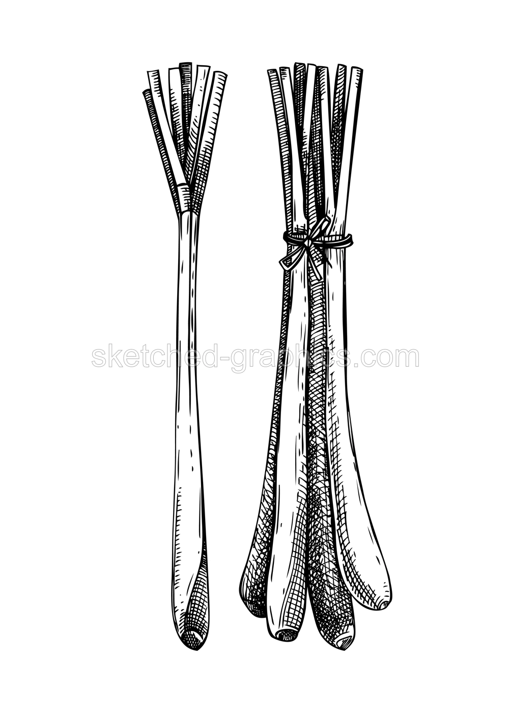 lemongrass Illustration