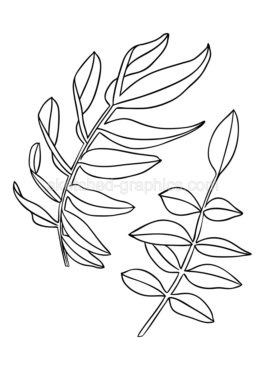 Elegant leaves illustrations. Botanical line art drawings. Hand-drawn garden plants foliage. Florals for a wedding decor, greeting cards and invitations  Illustration