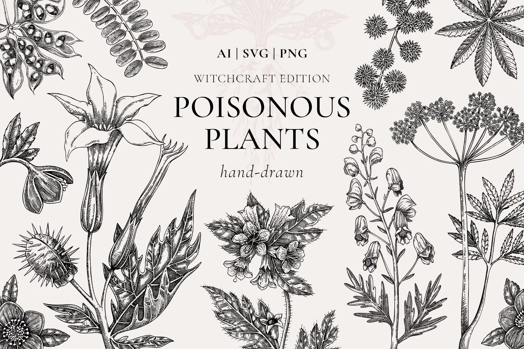 Poisonous Plants & Witch Herbs. Hand Drawn Vector illustrations Illustration