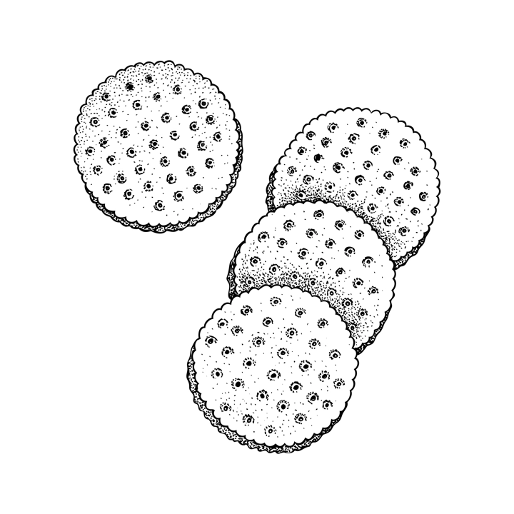 Crunchy cracker cookies vector illustrations set. Delicious biscuits sketches for finger food or desserts design elements. Dry snacks isolated on white background. Healthy homemade pastries drawings