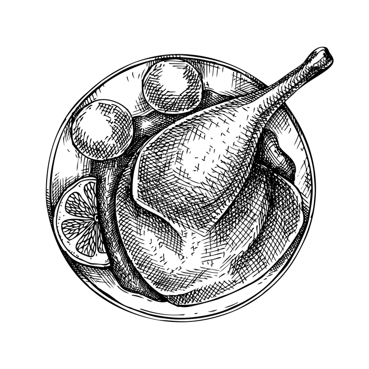 Roast duck with dumplings vintage drawing. German food sketch. Oktoberfest menu design. Hand-drawn food illustration for Octoberfest. Traditional German festival cuisine meal. Grilled duck sketch