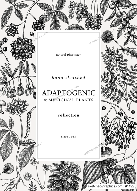 Botanical card design with hand-sketched adaptogenic and medicinal  herbs, weeds, berries, leaves. Adaptogenic plants vector illustration. Perfect for label, packaging, banner, invitations template