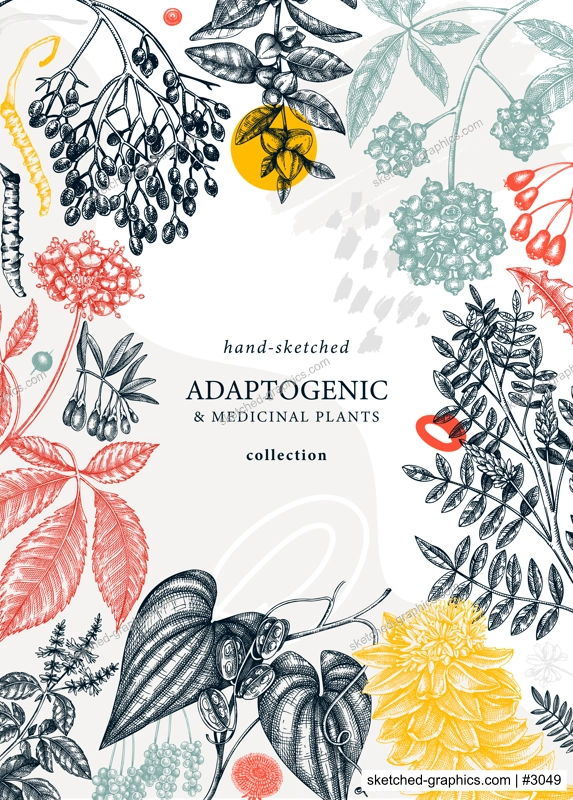 Botanical collage style design with hand-sketched adaptogenic and medicinal  herbs, weeds, berries, leaves. Adaptogenic plants vector card. Perfect for trendy label, packaging, banner, invitations