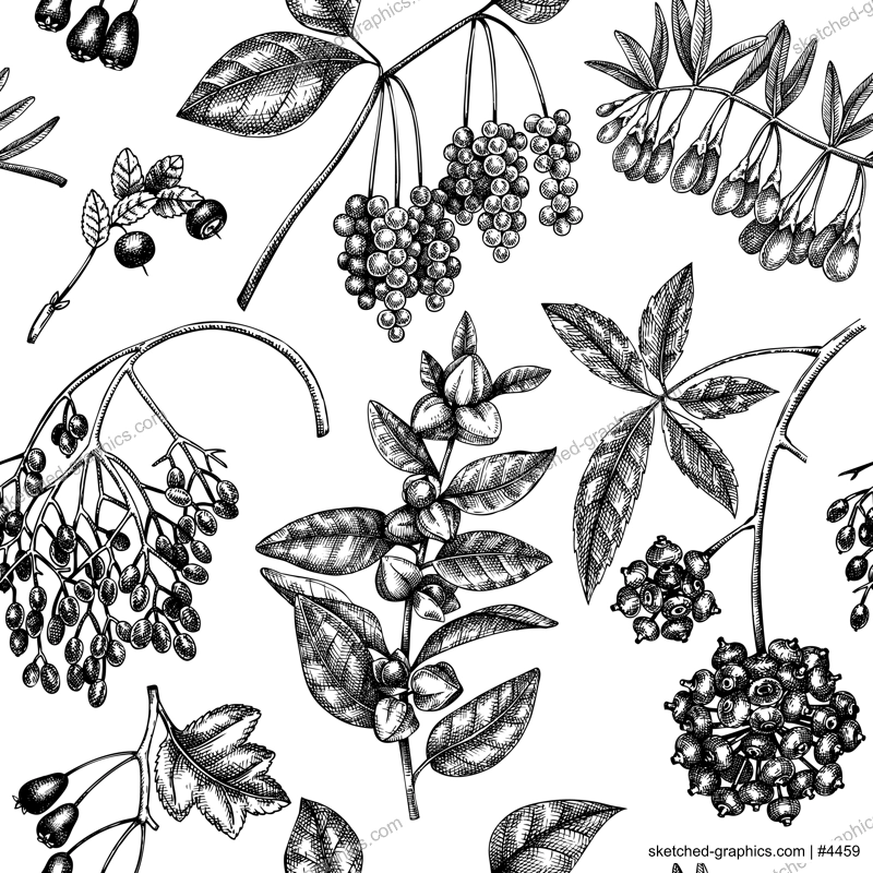Medical plants seamless pattern. Hand-sketched adaptogenic herbs, weeds, berries, leaves backdrop. Perfect for brands, label, packaging, wrapping paper. Botanical illustration of adaptogenic plants