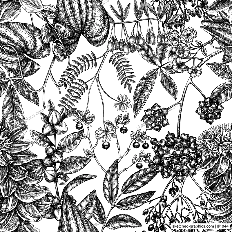 Adaptogenic plants seamless pattern. Hand-sketched medicinal herbs, weeds, berries, leaves vector background. Perfect for labels, packaging, wrapping paper, fabric. Vintage botanical illustration