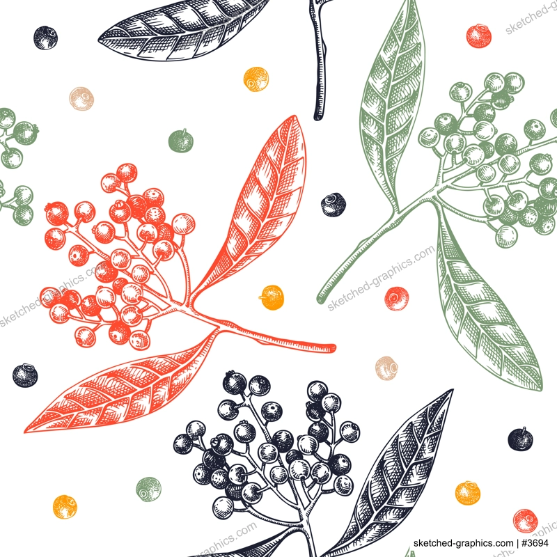 Allspice seamless pattern Kitchen spice sketches. Mexican herb and spice background. Hand-drawn vector illustration. NOT AI generated
