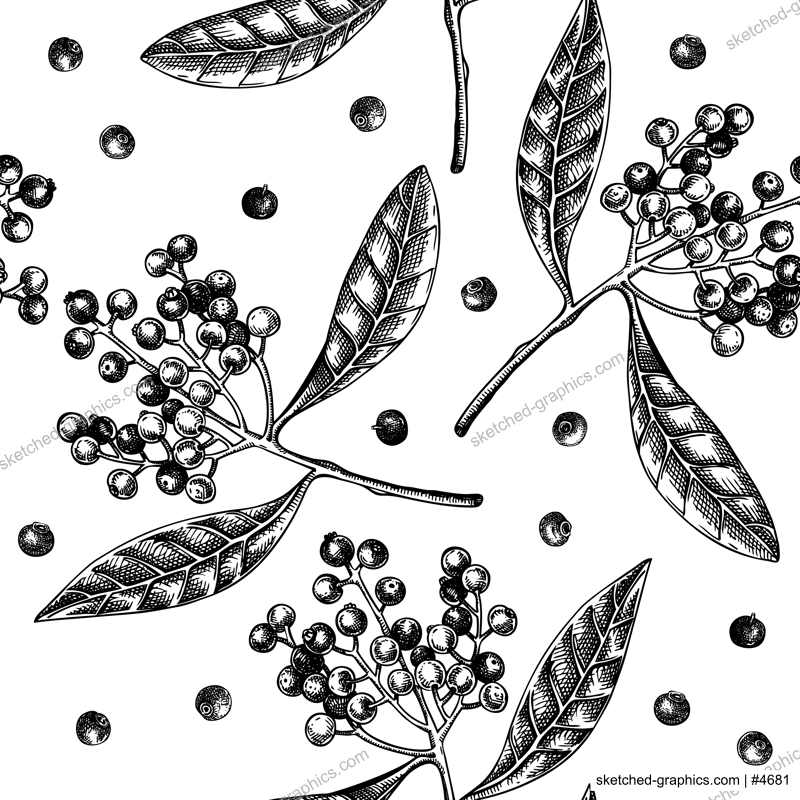 Allspice seamless pattern Kitchen spice sketches. Mexican herb and spice background. Hand-drawn vector illustration. NOT AI generated