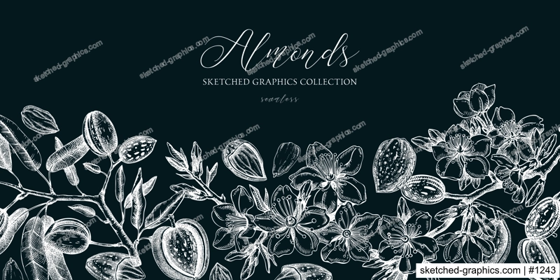 Almond background. Blooming branches, almond nuts, flowers, leaves sketches. Hand drawn vector illustration. Vintage floral design. Spring trees border on chalkboard