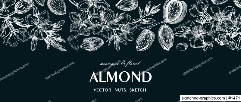 Almond background on chalkboard. Blooming branches, flowers, almond nut sketches. Hand drawn vector illustration. Botanical banner. NOT AI generated