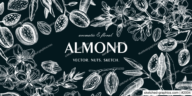 Almond background on chalkboard. Blooming branches, flowers, almond nut sketches. Hand drawn vector illustration. Botanical banner design. NOT AI generated