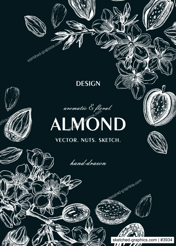 Almond nut frame, spring design on chalkboard. Blooming branches, nuts, flower sketches. Hand-drawn vector illustration. Greeting card or invitation template .  NOT AI generated
