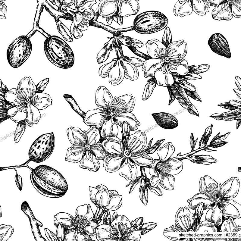 Almond blossom sketched background. Floral seamless pattern. Flowering branches with nuts, flowers, and leaves design. Botanical vector illustration of spring nut tree.