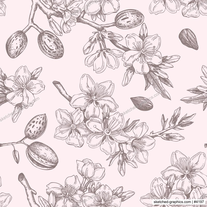 Almond blossom sketched background. Floral seamless pattern. Flowering branches with nuts, flowers, and leaves design. Botanical vector illustration of spring nut tree. 