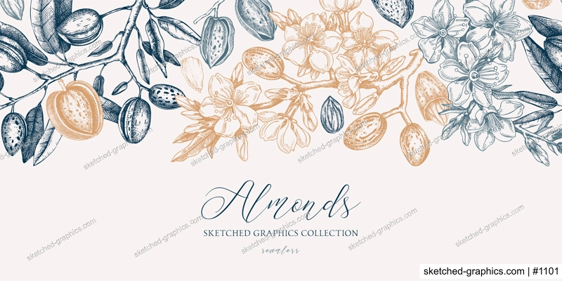 Almond background. Blooming branches, almond nuts, flowers, leaves sketches. Hand drawn vector illustration. Vintage seamless pattern. Spring trees border