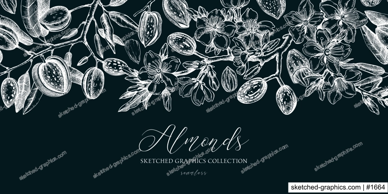 Almond background. Blooming branches, almond nuts, flowers, leaves sketches. Hand drawn vector illustration. Vintage seamless pattern. Spring trees border on chalkboard