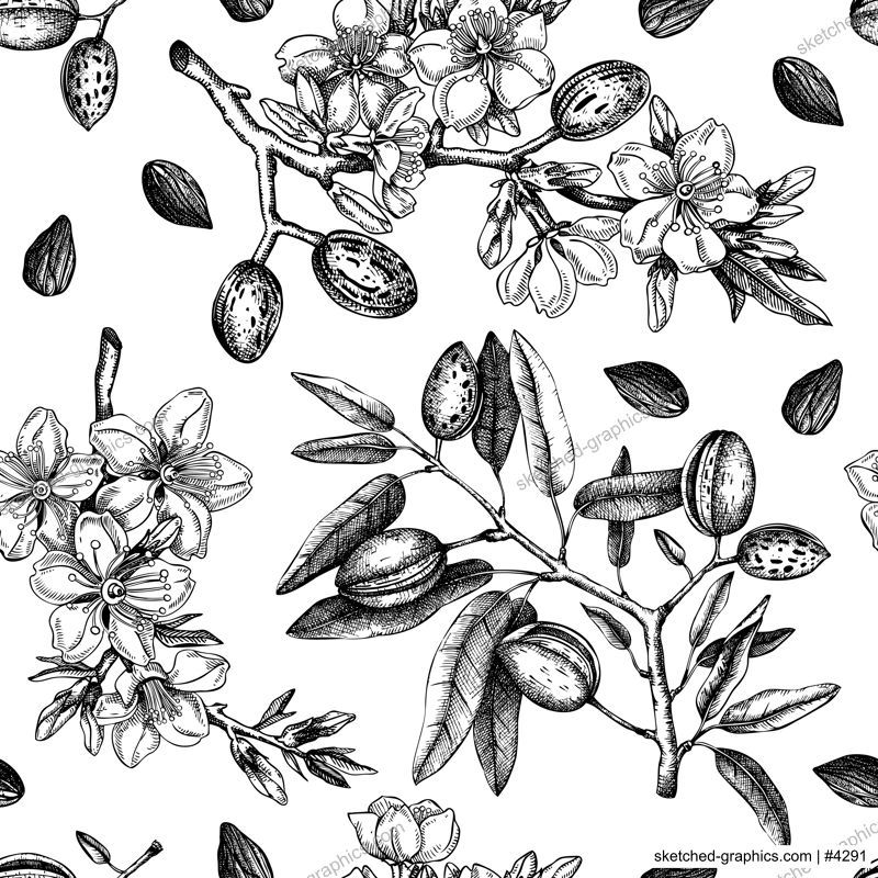 Almond branches background design. Blooming tree twigs with nuts, flowers, leaves backdrop. Floral spring garden background. Botanical vector illustration for textile, packaging, wrapping, prints