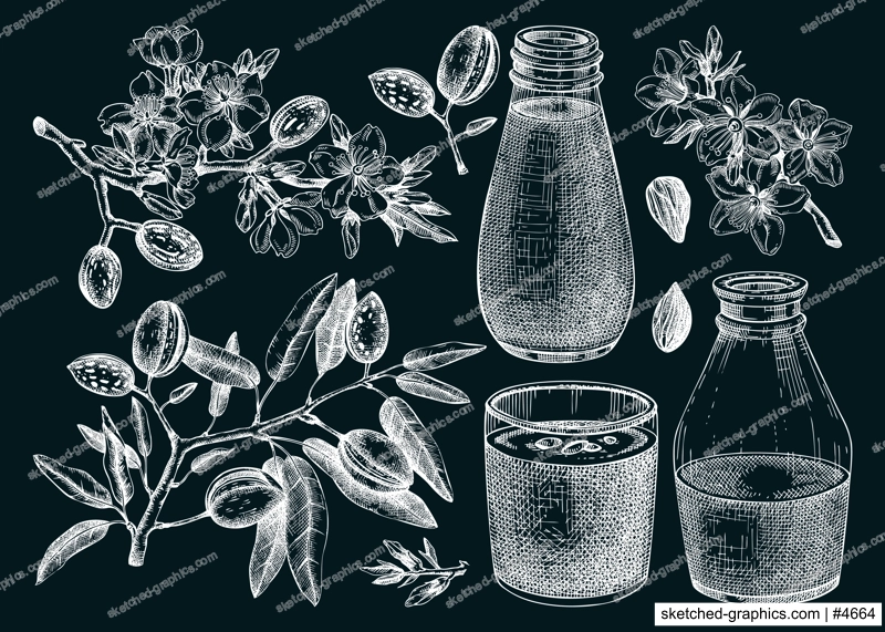 Almond milk set. Dairy products design elements. Plant milk in glass, bottle, almond nut, blooming branches with leaves and flowers sketches. Nut milk, healthy drink vector illustrations on chalkboard