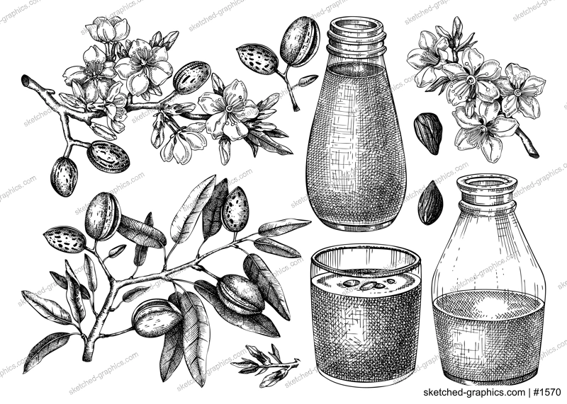 Almond milk set. Dairy products design elements. Plant milk in glass, bottle, almond nut, blooming branches with leaves and flowers sketches. Nut milk, healthy drink vector illustrations for packaging