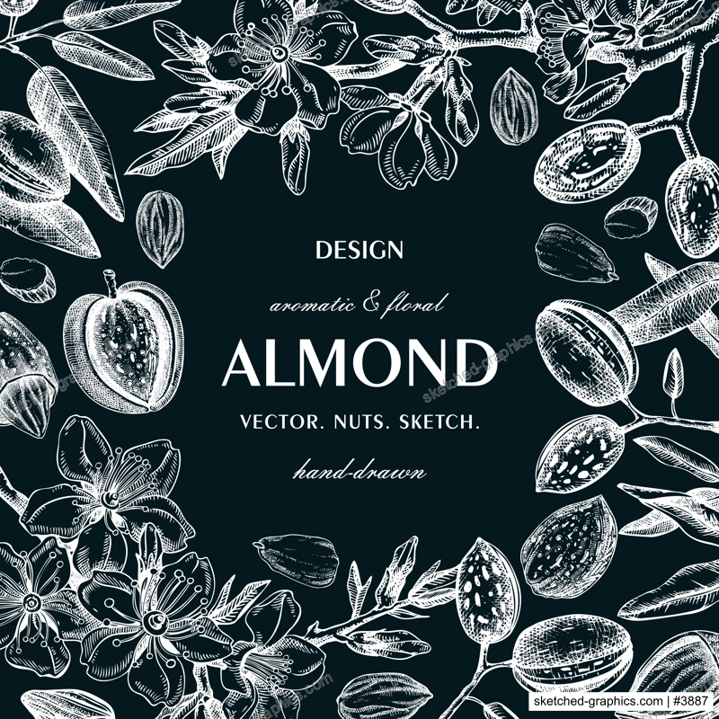 Almond nut frame design on chalkboard.Blooming branches, nuts, flower sketches. Hand-drawn vector illustration. Botanical background. NOT AI generated