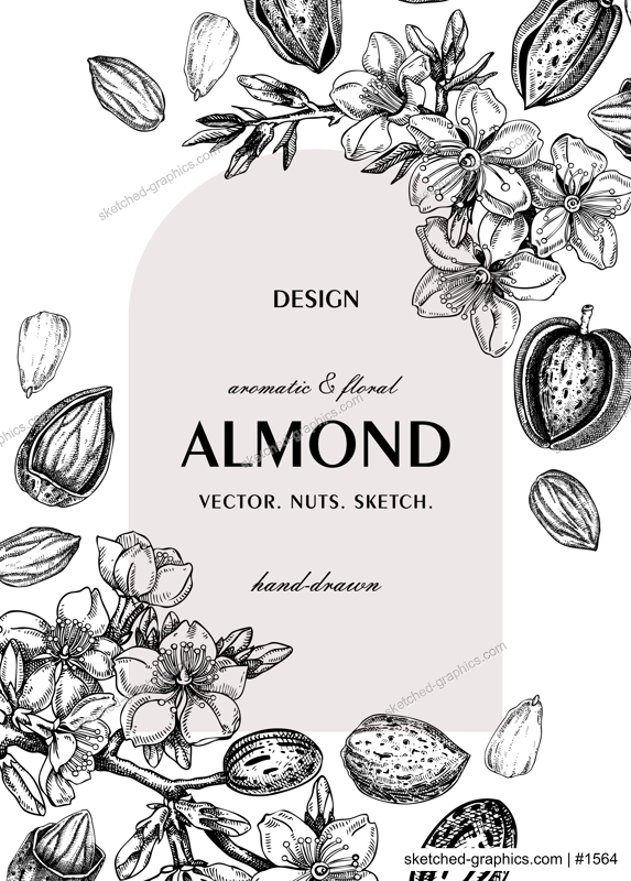 Almond nut frame, spring design. Blooming branches, nuts, flower sketches. Hand-drawn vector illustration. Greeting card or invitation template .  NOT AI generated