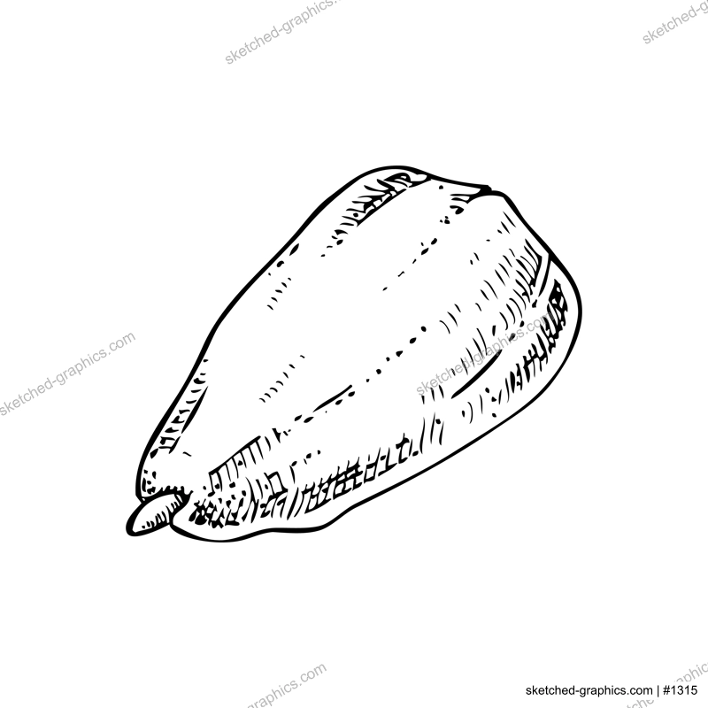 Almond nut sketch. Hand-drawn vector illustration. Vintage nut, cosmetics ingredient, healthy food drawings. Botanical design element in engraved style for label and packaging.