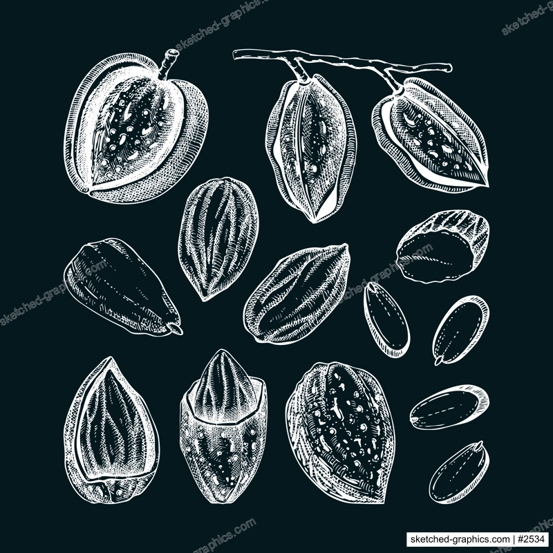 Almond nut sketches set. Hand drawn vector illustrations on chalkboard. Nutshells, nuts, almond slices, vegan, healthy food ingredients. Vintage design elements for packaging, label, logo