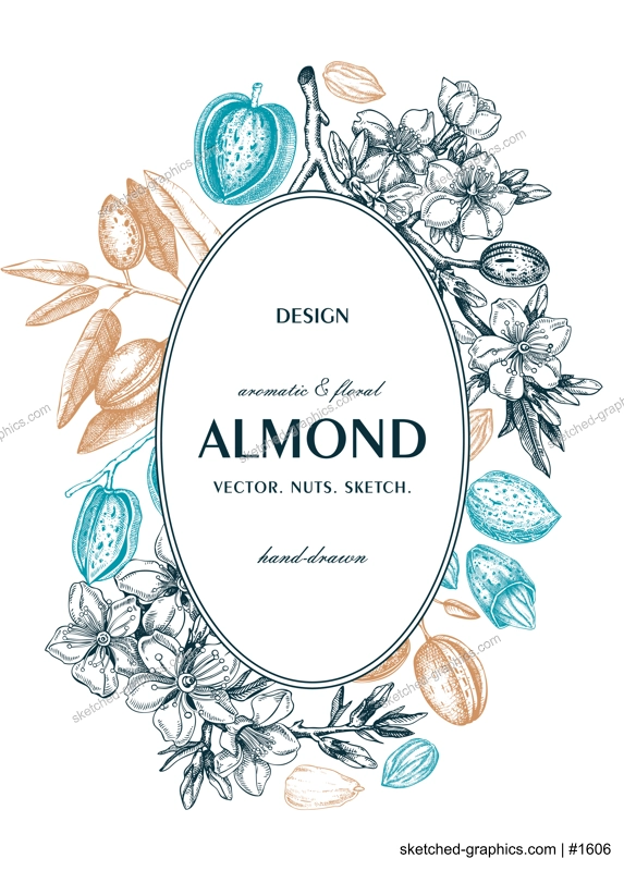 Almond nut wreath design.Blooming branches, nuts, flower sketches. Hand-drawn vector illustration. Botanical background. NOT AI generated