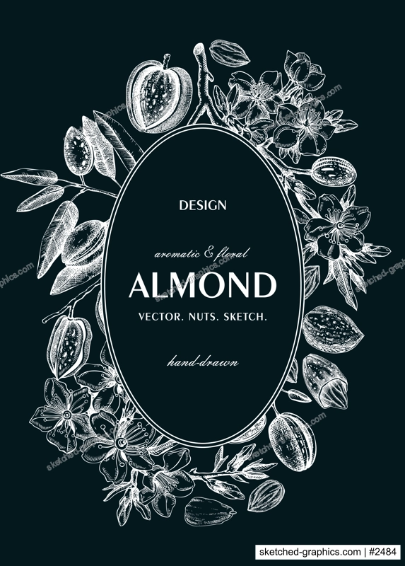 Almond nut wreath design.Blooming branches, nuts, flower sketches on chalkboard. Hand-drawn vector illustration. Botanical background. NOT AI generated