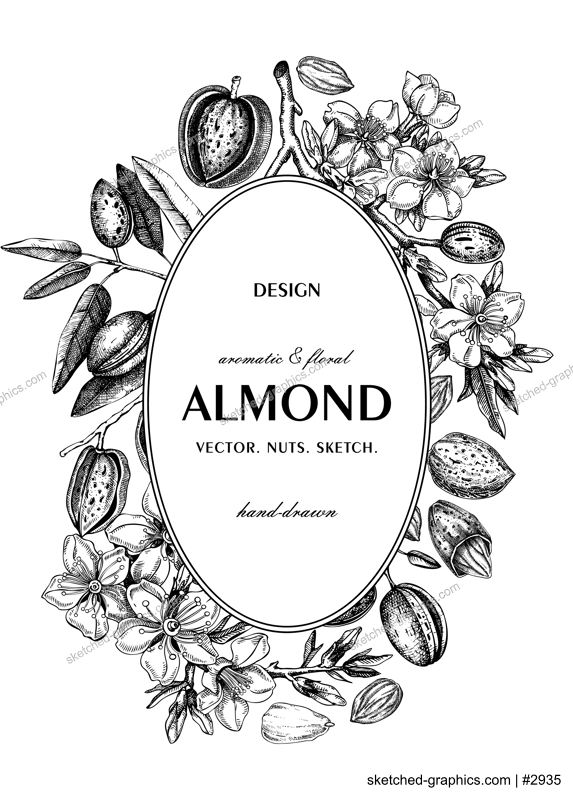 Almond nut wreath design.Blooming branches, nuts, flower sketches. Hand-drawn vector illustration. Botanical background. NOT AI generated
