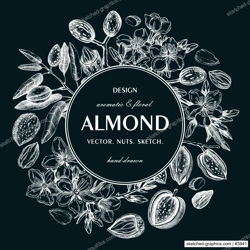 Almond nut wreath design on chalkboard.Blooming branches, nuts, flower sketches. Hand-drawn vector illustration. Botanical background. NOT AI generated