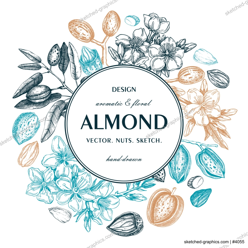 Almond nut wreath design.Blooming branches, nuts, flower sketches. Hand-drawn vector illustration. Botanical background. NOT AI generated