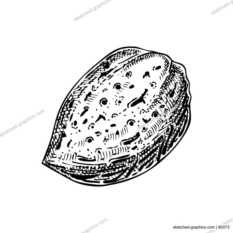 Almond nutshell sketch.  Hand-drawn vector illustration. Vintage nut, cosmetics ingredient, healthy food drawings. Botanical design element in engraved style for label and packaging.