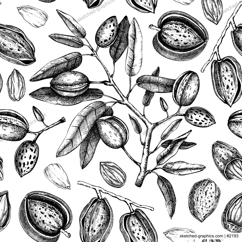 Almond seamless pattern. Healthy food background. Almond nut tree sketches. Hand-drawn vector illustration. NOT AI generated