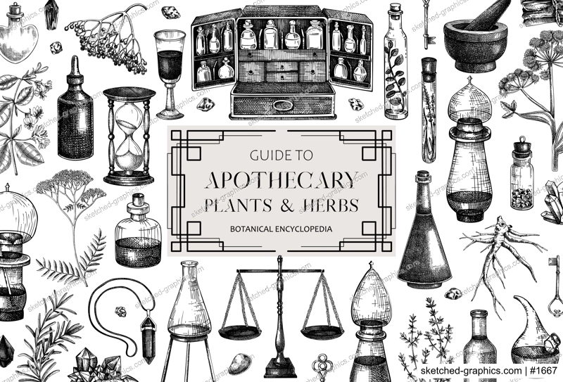 Antique apothecary background design. Herbal medicin hand-drawn vector illustrations. Alchemy sketches. Vintage chemistry banner. NOT AI generated
