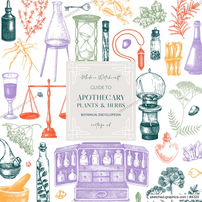 Antique apothecary card design. Herbal medicicne hand-drawn vector illustrations. Alchemy sketches. Boho chemistry background. NOT AI generated