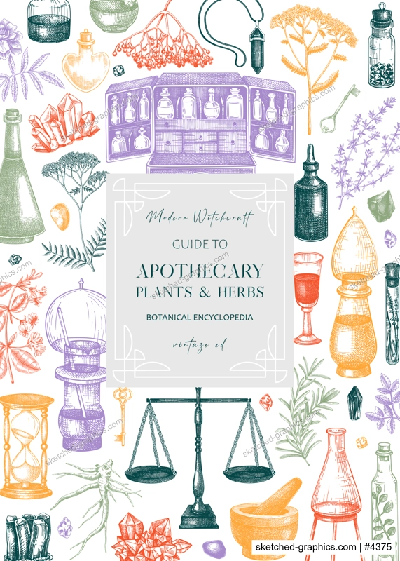 Antique apothecary label design. Herbal medicine hand-drawn vector illustrations. Alchemy sketches in color. NOT AI generated