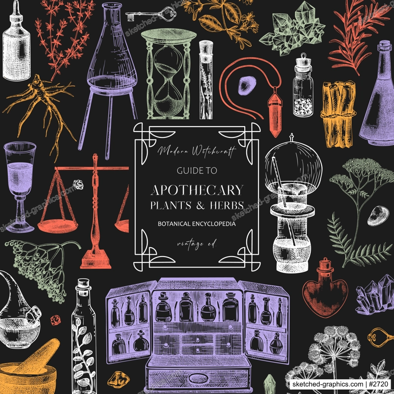 Antique apothecary background. Herbal medicin hand-drawn vector illustrations. Alchemy sketches on chalkboard. Bohemian chemistry card  design. NOT AI generated