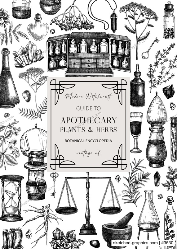 Antique apothecary frame on chalkboard. Hand-drawn vector illustrations. Alchemy sketches. Witchraft background. Vintage card or invitation design. NOT AI generated