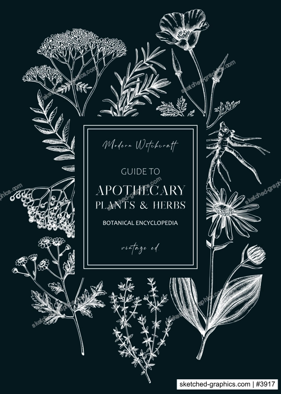 Apothecary plant frame design. Witchcraft book cover. Herbal remedies, medicinal plant, natural medicine hand-drawn vector illustration on chalkboard. Vinatge herbs background. NOT AI genereted