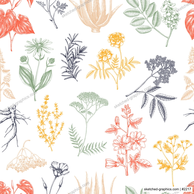 Apothecary plant background. Medicinal herbs seamless pattern. Herbal remedies, natural medicine, Healing plants sketches. Hand-drawn vector illustration.NOT AI genereted