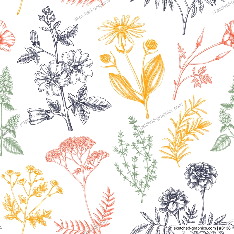 Apothecary plant background. Medicinal herbs seamless pattern. Herbal remedies, natural medicine, Healing plants sketches. Hand-drawn vector illustration.NOT AI genereted