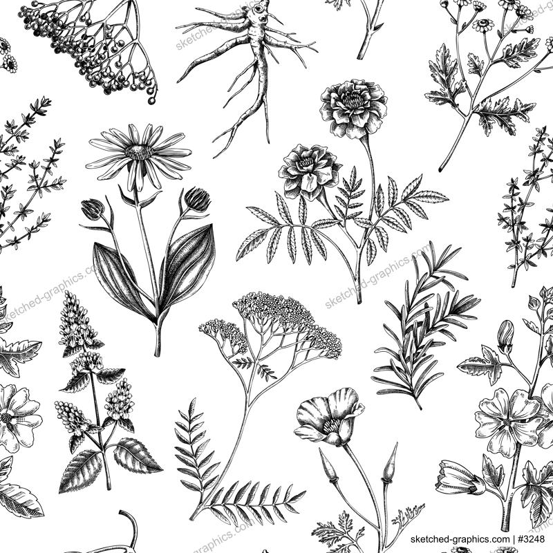 Apothecary plant background. Medicinal herbs seamless pattern. Herbal remedies, natural medicine, Healing plants sketches. Hand-drawn vector illustration.NOT AI genereted