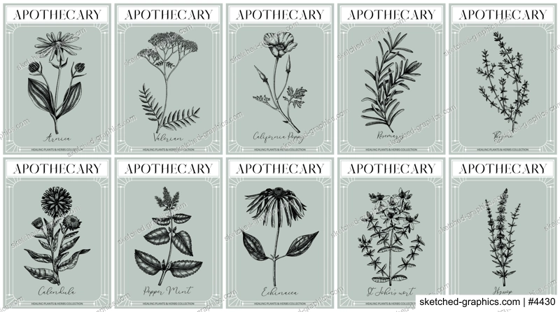 Apothecary labels set. Healing plants and medicinal herbs sketches. Art nouveua, adt deco, vintage, retro style. Frame design templates. NOT AI generated