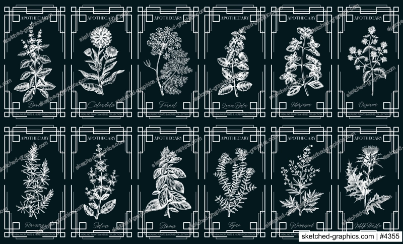 Art deco apothecary labels set. Healing plants, medicinal herbs sketches. Vintage frame design templates on chalkboard. NOT AI generated