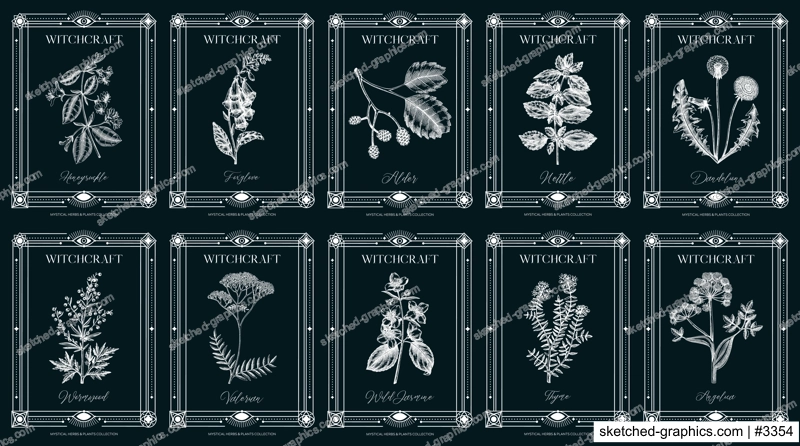 Art deco apothecary labels set. Witchcraft, healing herbs, mystical plants sketches. Vintage frame design templates. NOT AI generated