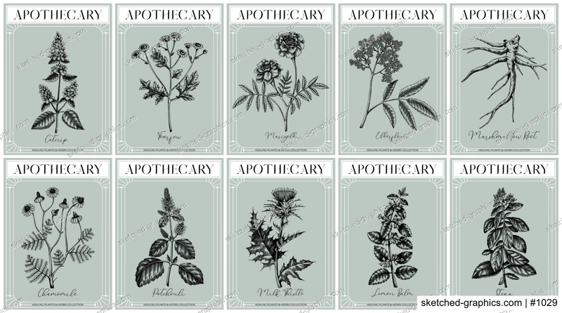 Apothecary labels set. Healing plants and medicinal herbs sketches. Art nouveua, adt deco, retro style. Vintage frame design templates. NOT AI generated