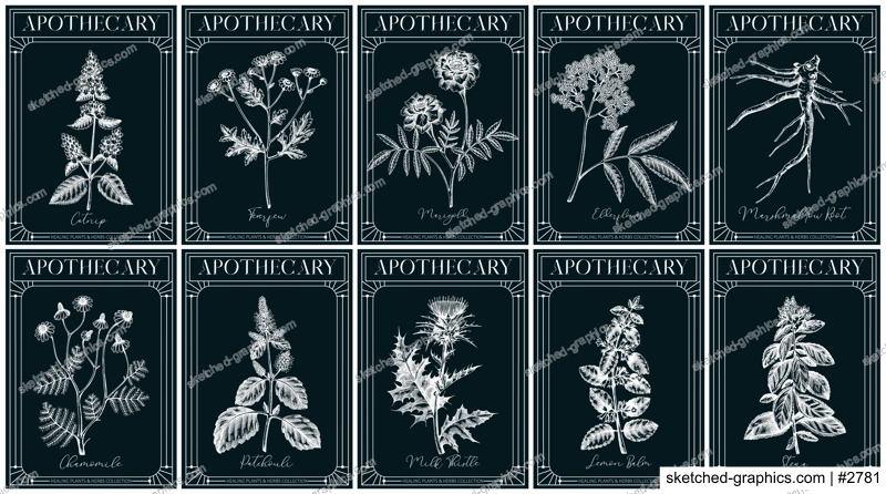 Apothecary labels set. Healing plants and medicinal herbs sketches. Art nouveua, adt deco, vintage, retro style. Frame design templates on chalkboard. NOT AI generated